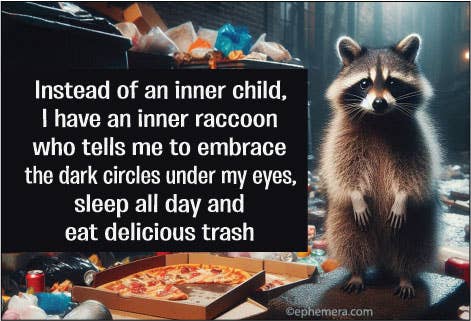 Instead of an Inner Child, I Have an Inner Raccoon Cheeky Magnet