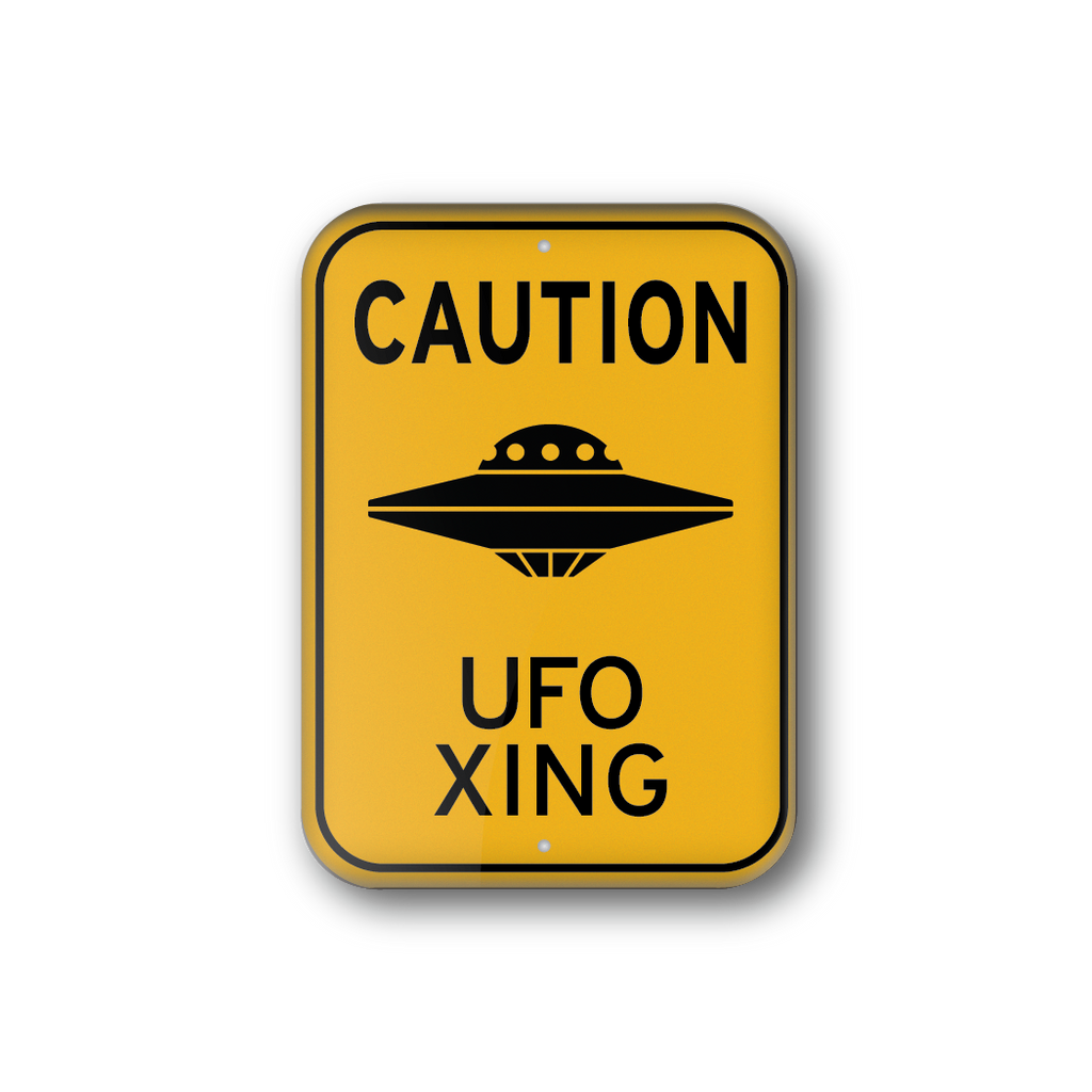 UFO Xing Souvenir Magnet