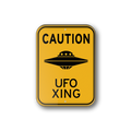 UFO Xing Souvenir Magnet