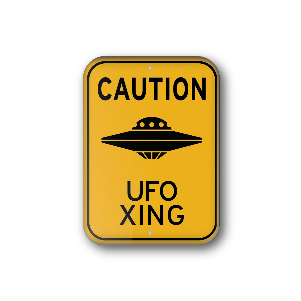 UFO Xing Souvenir Magnet